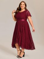 Plus Size Ruffled Sleeve Empire Waist Lace Wedding Guest Dress - Image 15