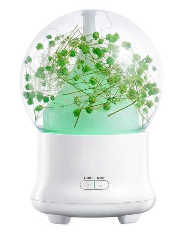 ML-824 100ML Gypsophila Flowers Aromatherapy Diffuser Air Humidifier with Colorful LED Light for Office / Home(Green) - Image 2
