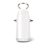TSHM0 Mini Angel Atomizing Humidifier with Colorful Night Lights, Water Tank Capacity: 230mL (Gold) - Image 2