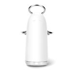 TSHM0 Mini Angel Atomizing Humidifier with Colorful Night Lights, Water Tank Capacity: 230mL (Silver) - Image 2