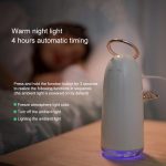 TSHM0 Mini Angel Atomizing Humidifier with Colorful Night Lights, Water Tank Capacity: 230mL (Silver) - Image 16